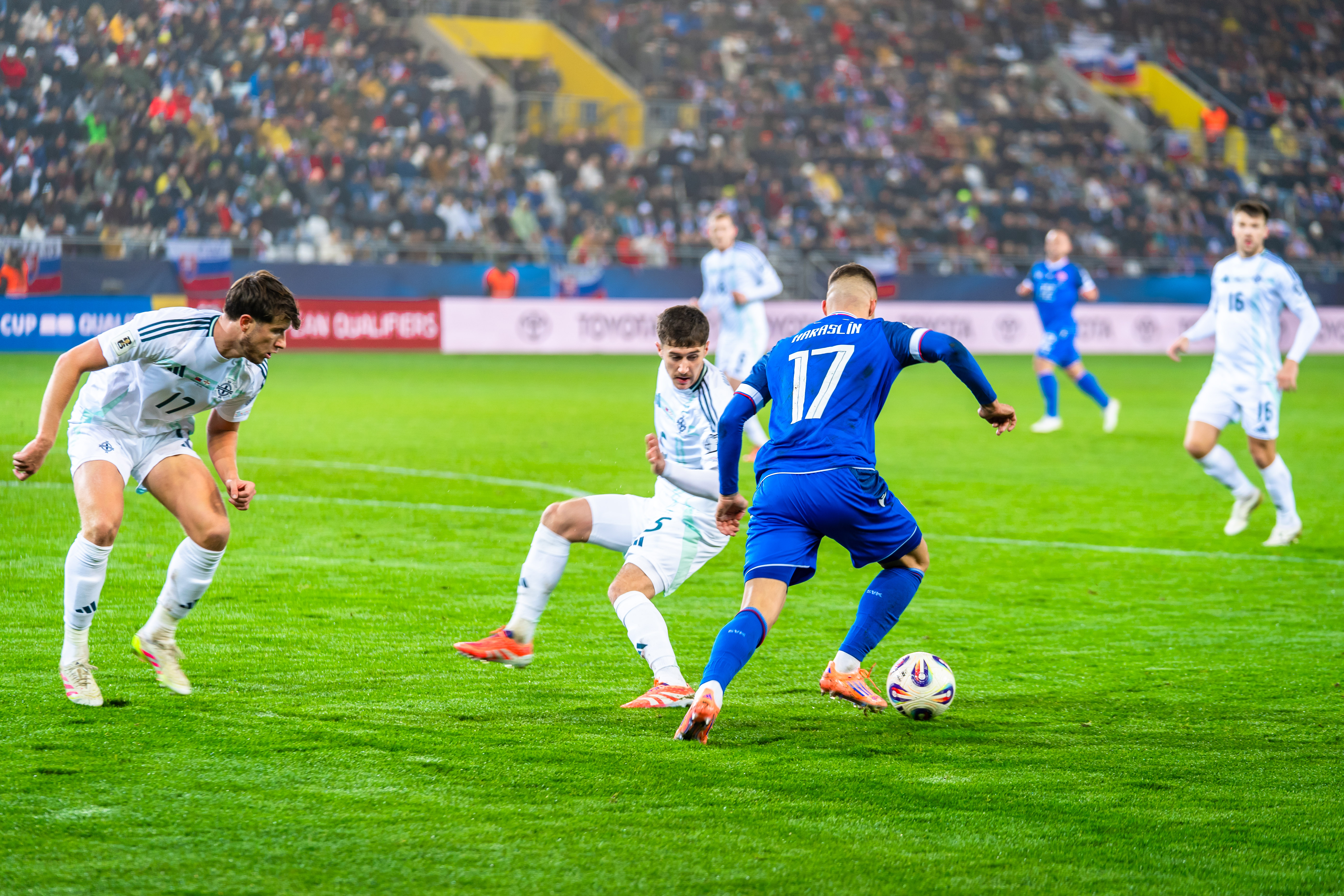 Slovensko vs Severne Irsko-33